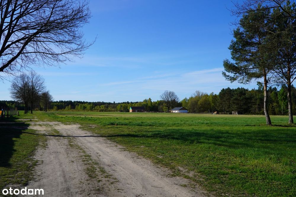 Dzialki budowlane Lipinki/Suchleb