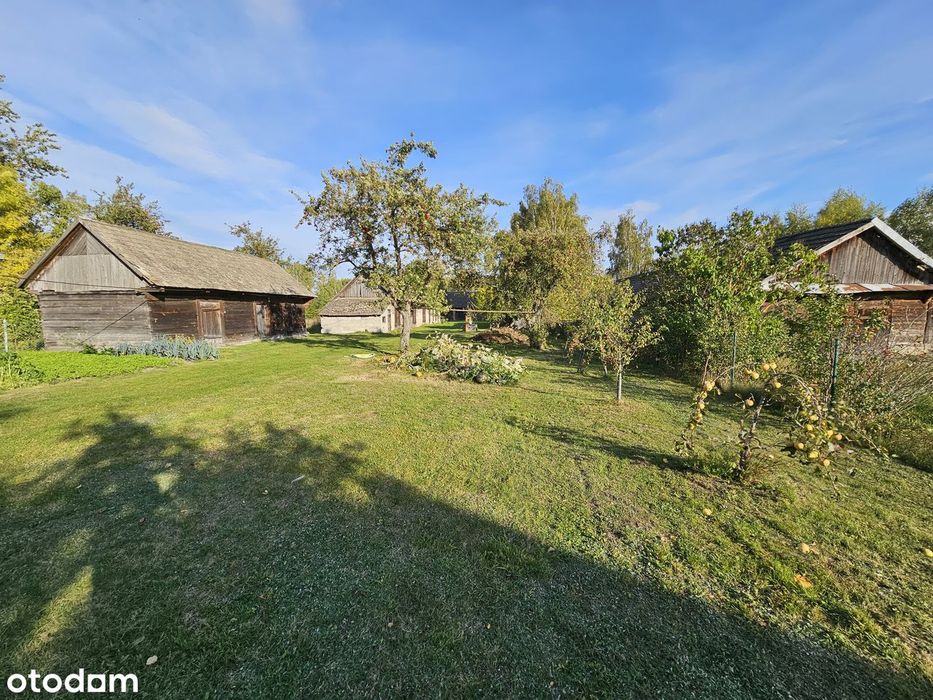 Stary Drewniany Dom Z 1 939 R. 7 791 M² Własny Las Brzozowy Osówka