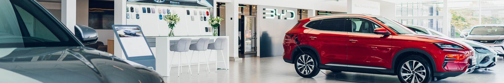 BYD Wrocław Grupa Cichy-Zasada top banner