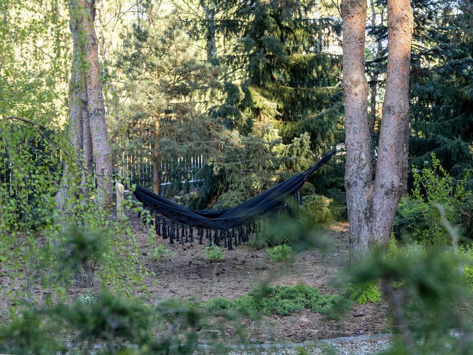 Hortensja domek na wyłączność