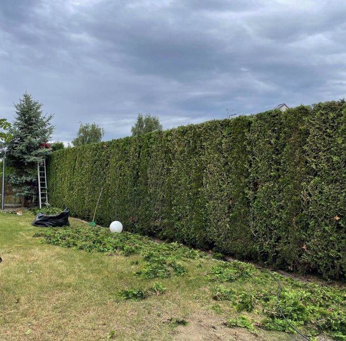 WYCINKA DRZEW, przycinanie żywopłotów, koszenie