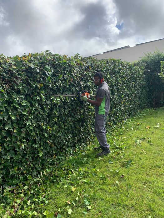 Temos serviços de jardinagem