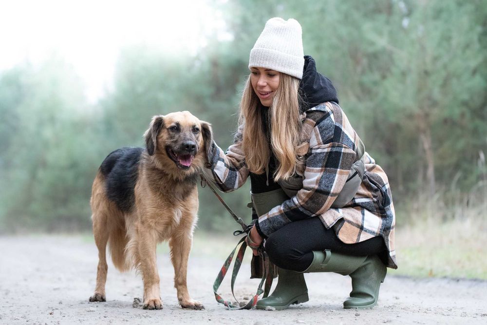 CZINI - młody wesołek