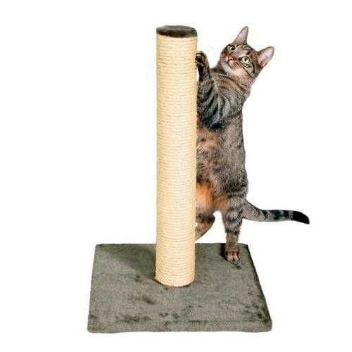 Arranhador para GATOS com bolinha
