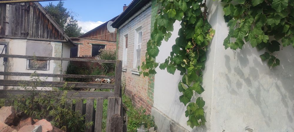 Продається домогосподарство