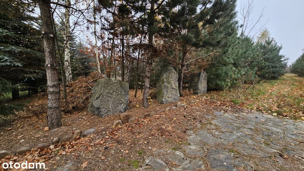 Działka 21900 m² - Widok 3