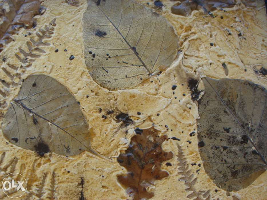 Quadro para Sala, Escritório ou Quarto