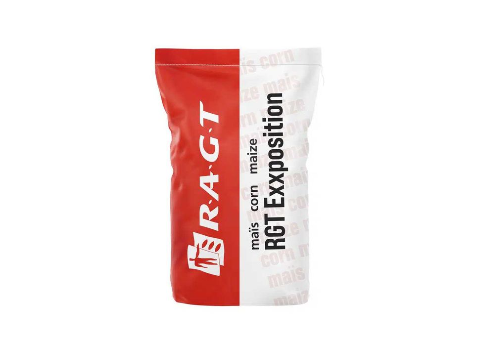 Kukurydza RGT EXXPOSITION – kiszonka, wysoka masa FAO 260 Promocja