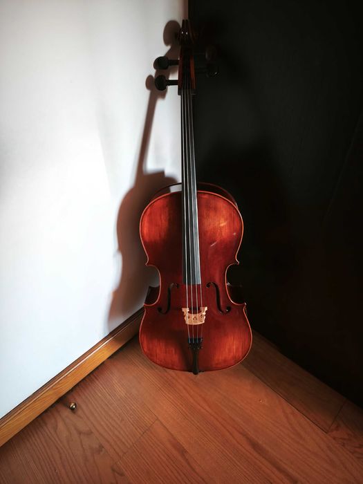 Vários Violoncelos Hofner, Carlo Giordano, Kreutzer, Palatino, etc
