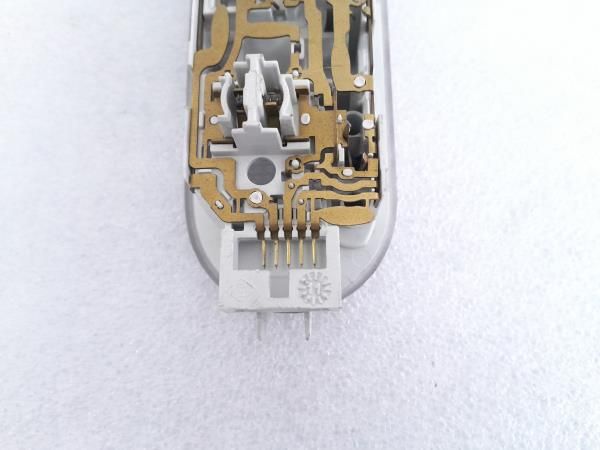 Plafonier frente NISSAN Juke (F15)