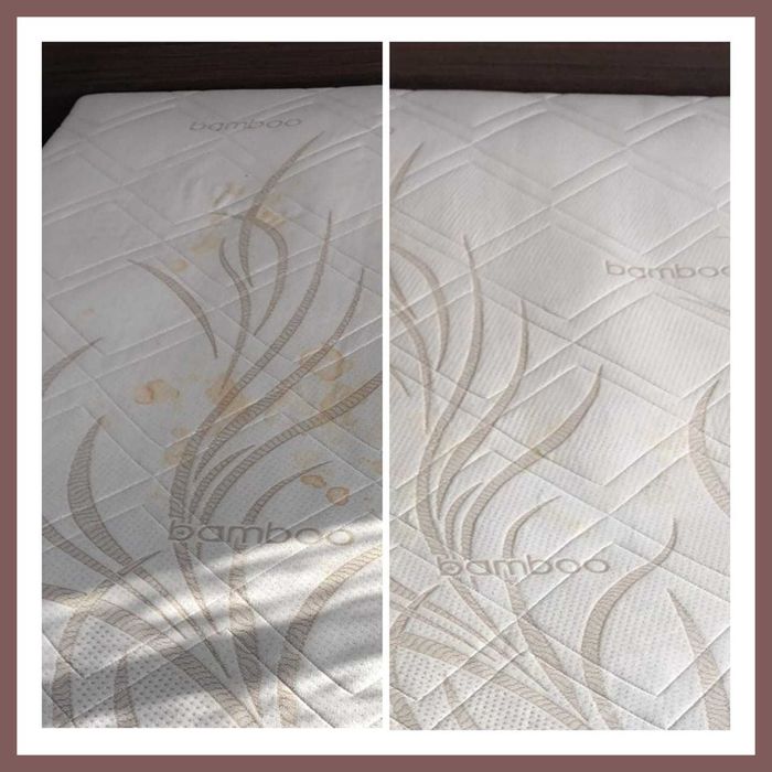 Wynajem odkurzacza piorącego. Pranie tapicerek ,mebli itp.