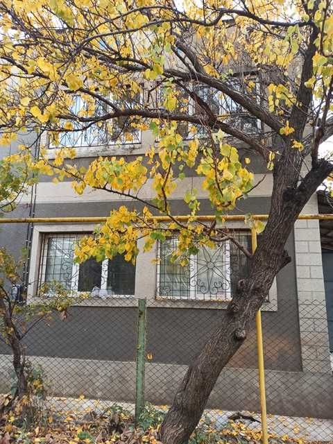 (13) Продам дом в Сухом Лимане 2 этажа