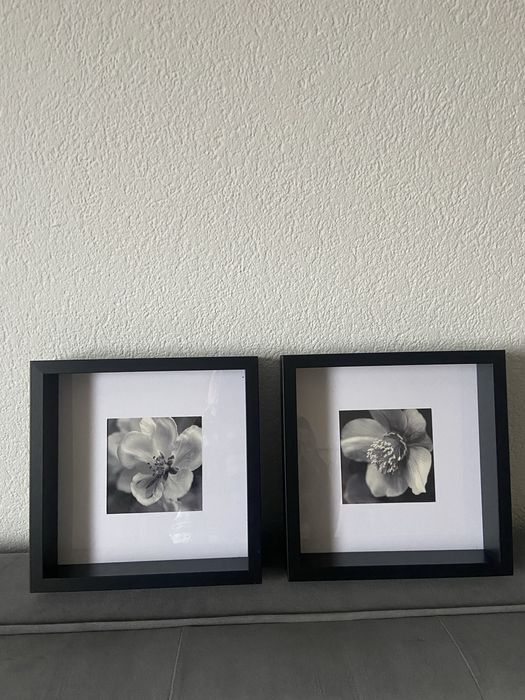 2 obrazki Ikea z grafiką kwiatów
