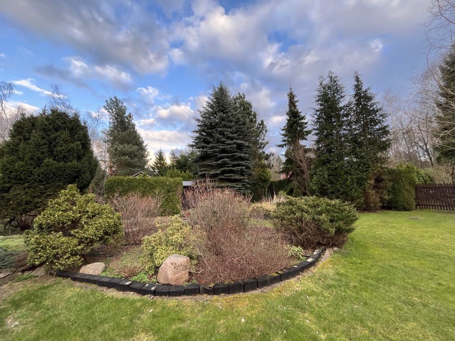 Działka ROD. Krępa Rosa. Chojnowski Park Krajobrazowy. Zalesie Górne.