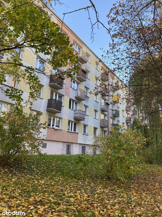BEZPOŚREDNIO, M-4 Centrum, po kapitalnym remoncie