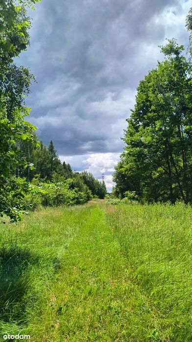 Sprzedam podzieloną działkę w Jedlińsku - Widok 4