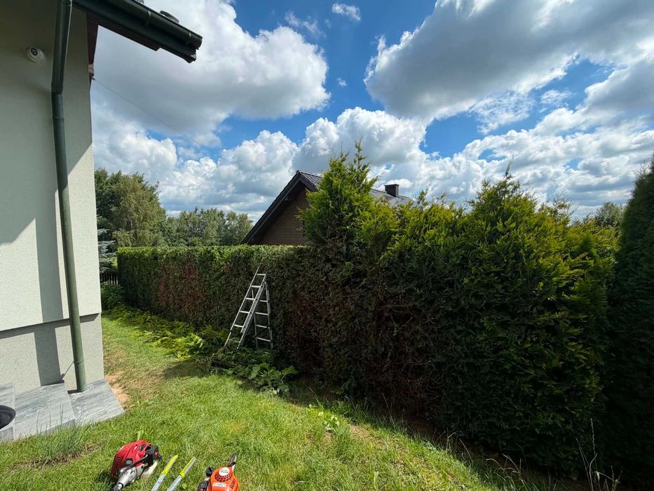 Karczowanie, Koszenie, Przycinanie żywopłotu/ krzewów, Usługi rębakiem