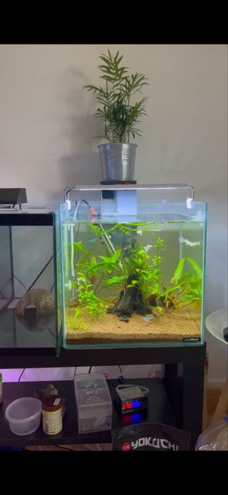 Aquario 30l PetWorx
