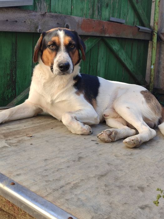 Кабель Марик ищет девочку