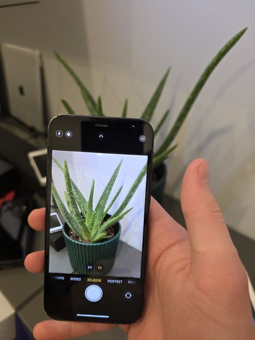 Apple iPhone 12 mini w pudełku