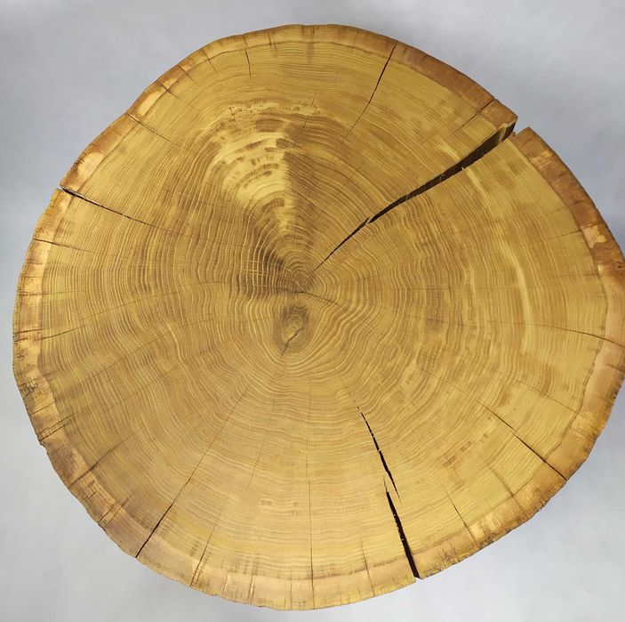 Stolik kawowy z plastra DĘBU 12 cm – UNIKAT – naturalny – GÓRALSKI