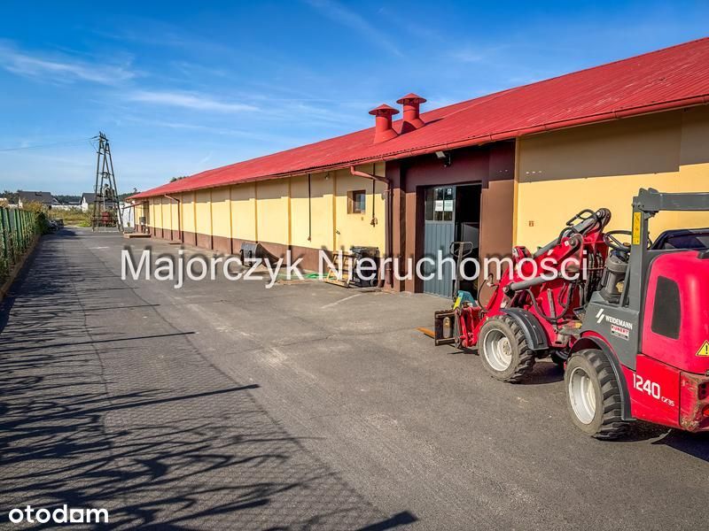 Duża nieruchomość inwestycyjna - Włoszakowice - Widok 5