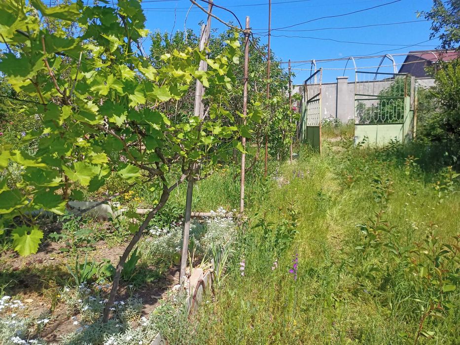 Будинок за адресою (площа 16 м²) - Atlanta.ua - фото 6