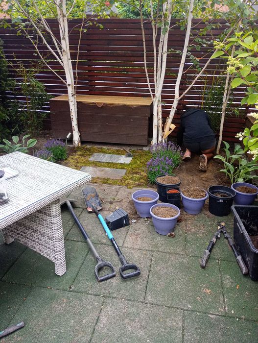 Ogrodnik sprzątanie posesji jesienne porządki czyszczenie liści ogrody
