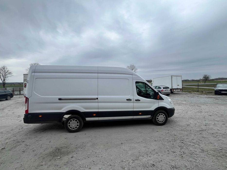 wynajem bus FORD TRANSIT