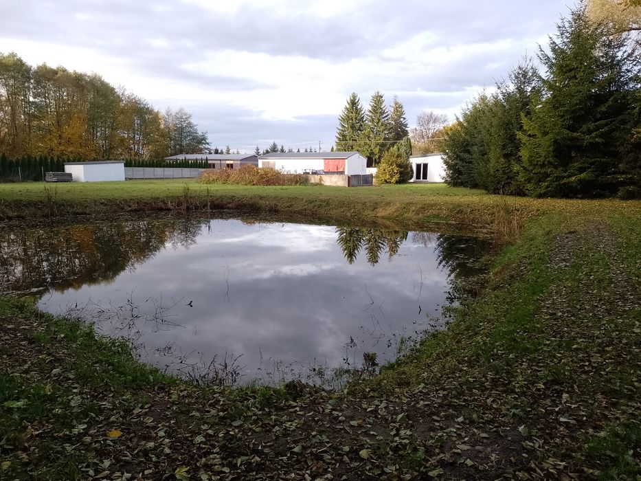 Dom, działka, hala na sprzedaż