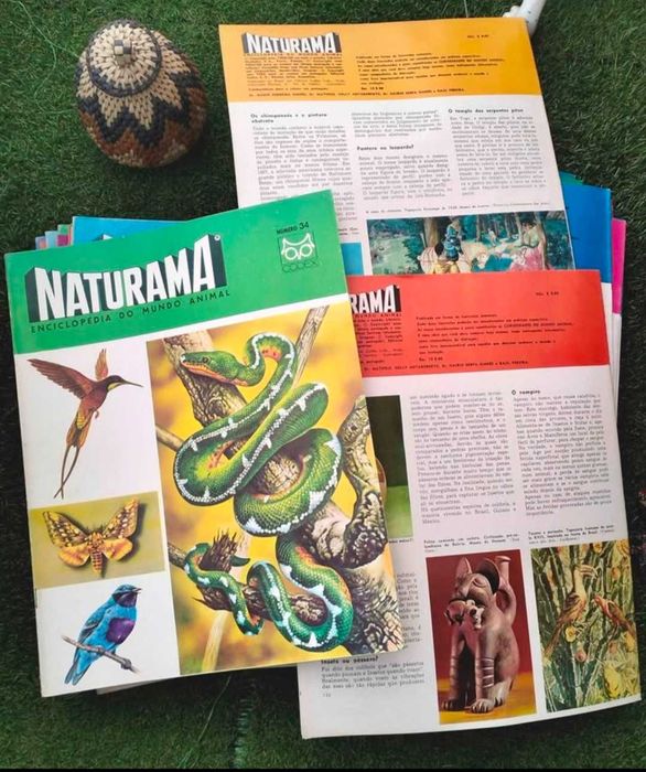 62 Fascículos da " Naturama: Enciclopédia do Mundo Animal" - anos 60