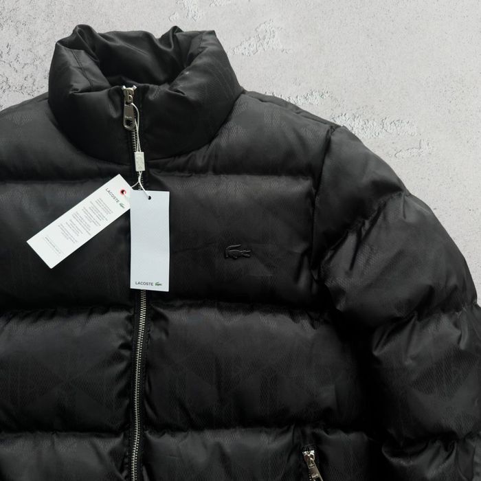 Мужская зимняя куртка лакоста Lacoste [S,M,L,XL,XXL]