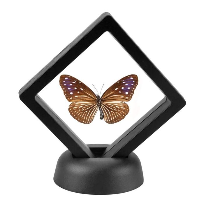 3D рамка для монет