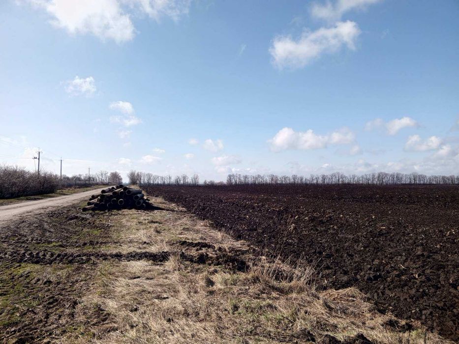 Продаж двох ділянок сг призначення в с. Леськи - Вид 5