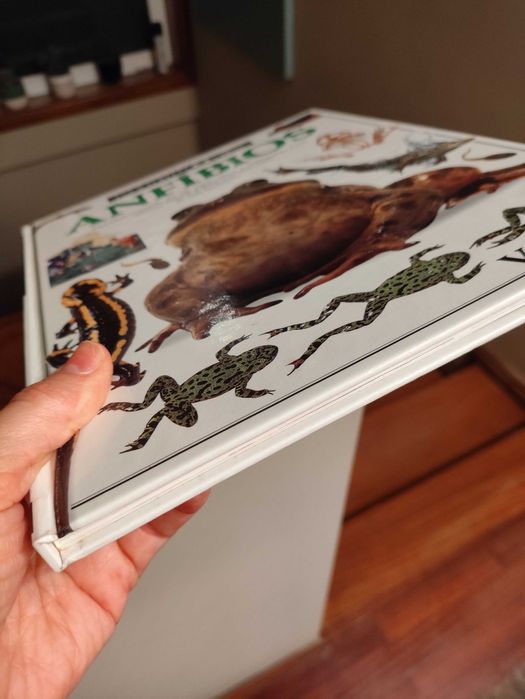 Enciclopédia dos anfíbios