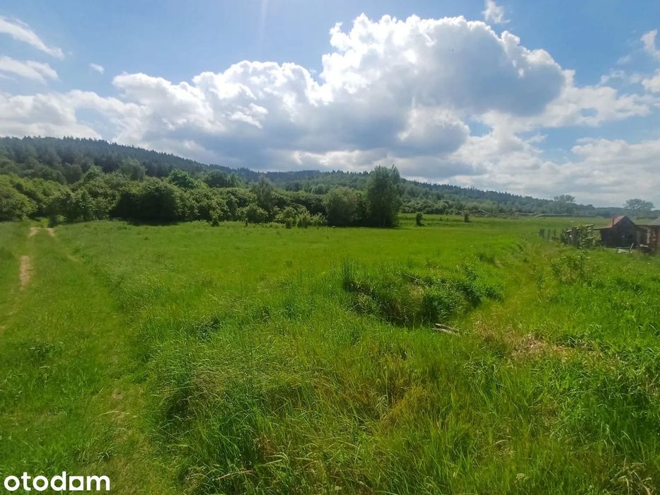 Działka budowlano-usługowa 53-MN/U Trzebieszowice - Widok 5