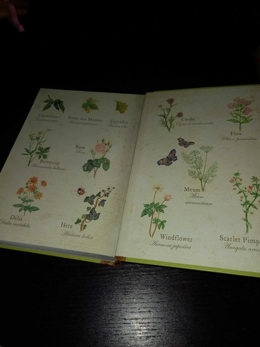 Livro "Fairy Oak - O Segredo das Gémeas"