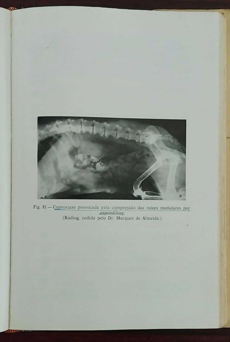 Obra da Medicina Veterinária "Semiologia Médica Animal", 1.º e 2.º Volumes, de M. Baptista Braz