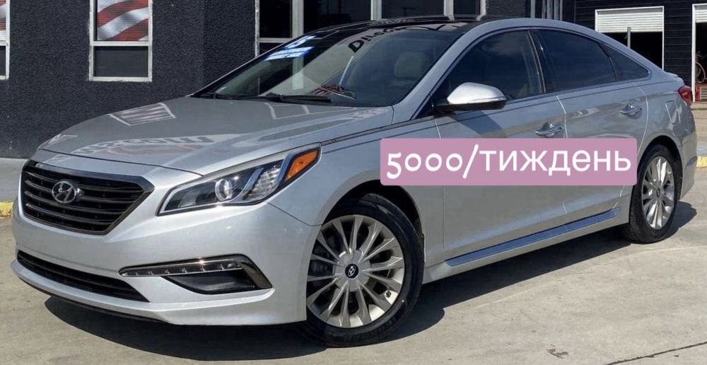 Оренда авто Київ/Прокат авто Hyundai