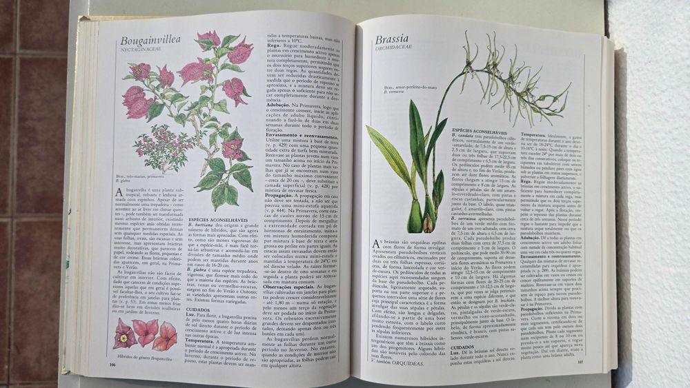 O Grande Livro das Plantas de Interior