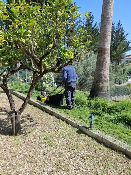 Servico de limpeza de terrenos