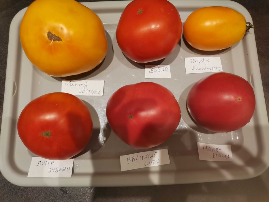 Nasiona kolekcjonerskie pomidorów,  papryk i innych warzyw.