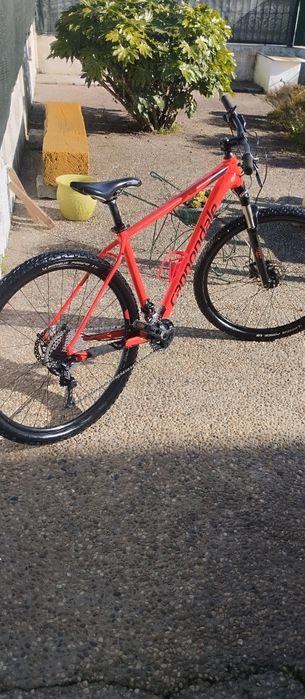 Bicicleta Cannondale trail 5 L 29