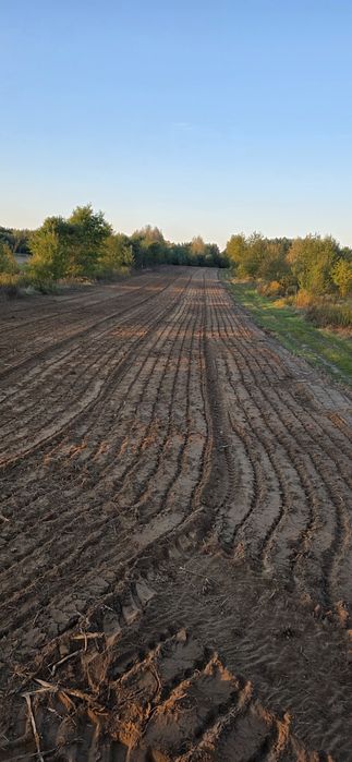Czyszczenie działek mulczer wycinka drzew
