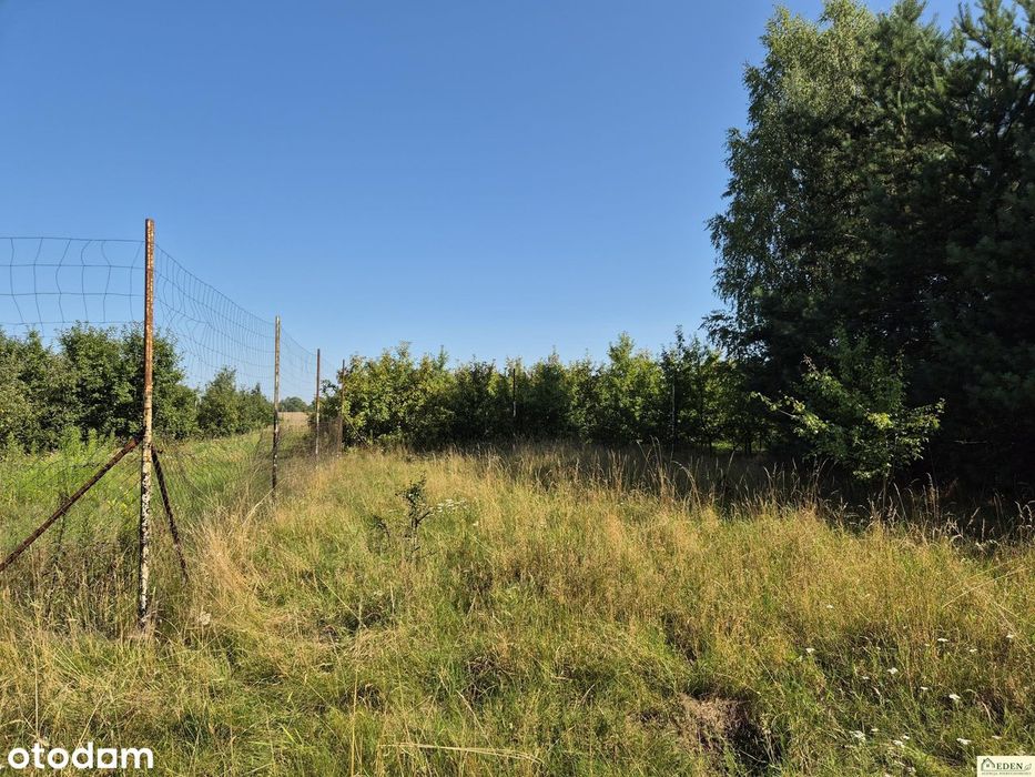 Na sprzedaż działka w Oleśnicy, gm. Wodynie - Widok 2