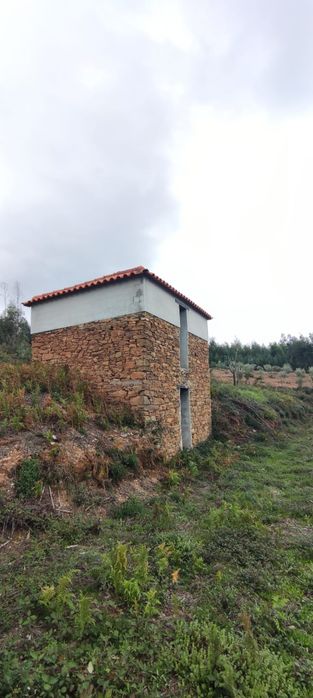 Terreno com 17.000m² e Ruína em Vinho – Vila Cova de Alva, Arganil