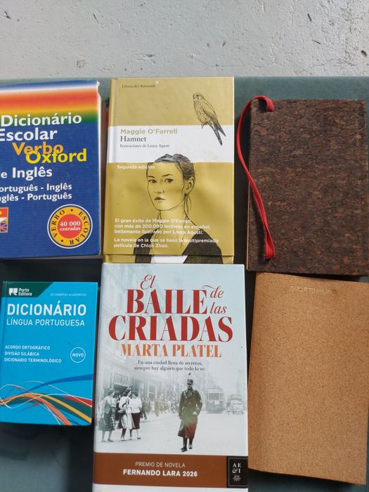 2 livros em espanhol  2 dicionários e 2  blocos de apontamentos