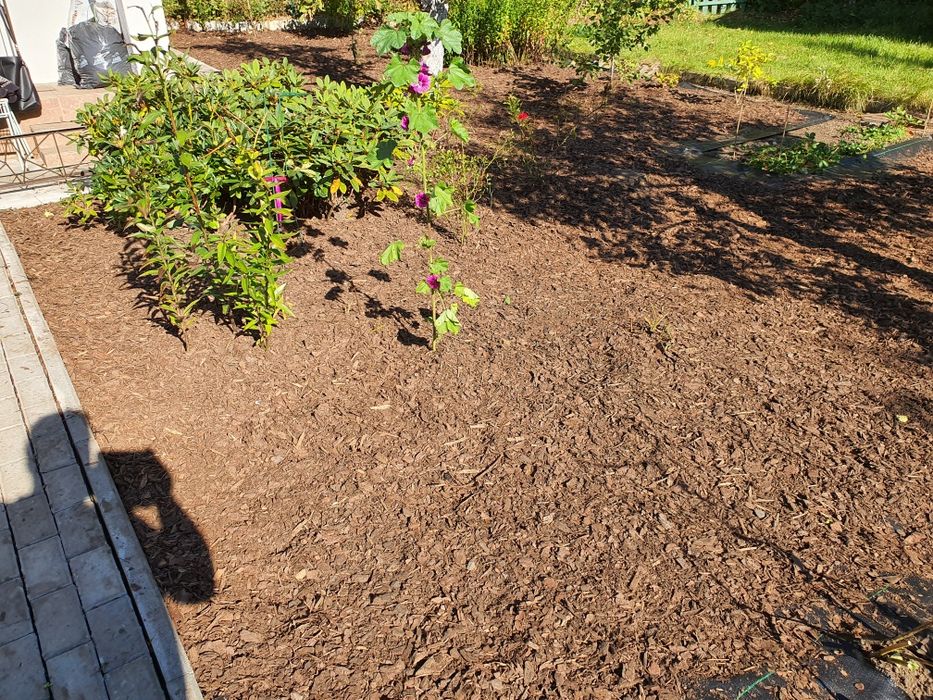 Sprzątanie ogrodów,dzialek,porzadkowanie,oproznianie