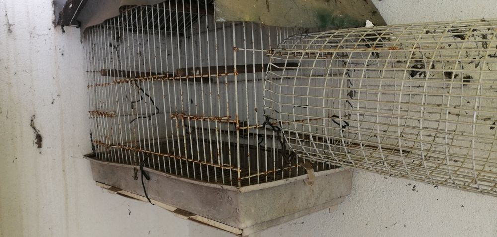 Gaiola para pássaros/ gaiola para melro
