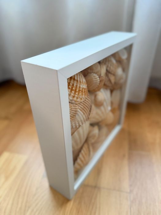 Quadro cheio ce conchas